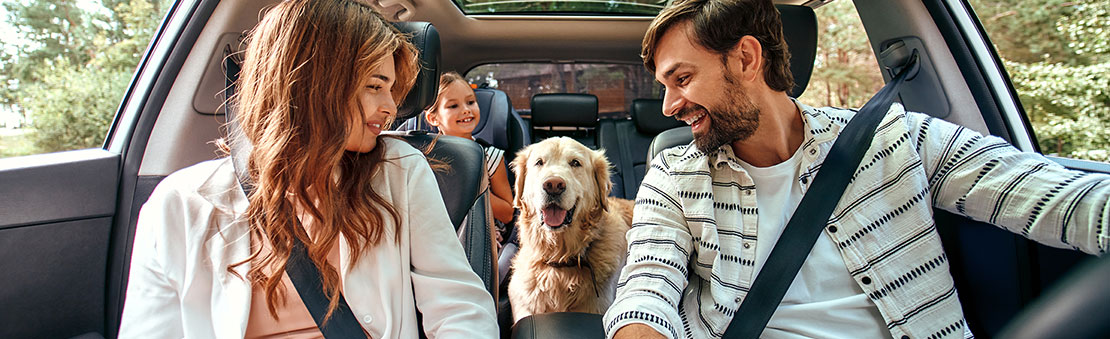 Family of three take car trip with their dog.